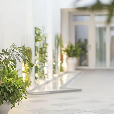 Alzocaire Hostal Boutique-2
